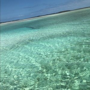 Meet your Posher, Abigail